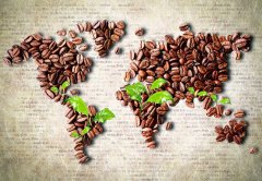 必看|咖啡行业大数据分析